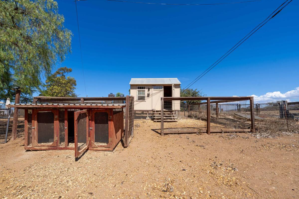 Chicken coop and fenced run