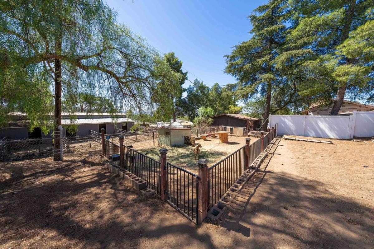 Fenced small-animal pen shaded by mature trees